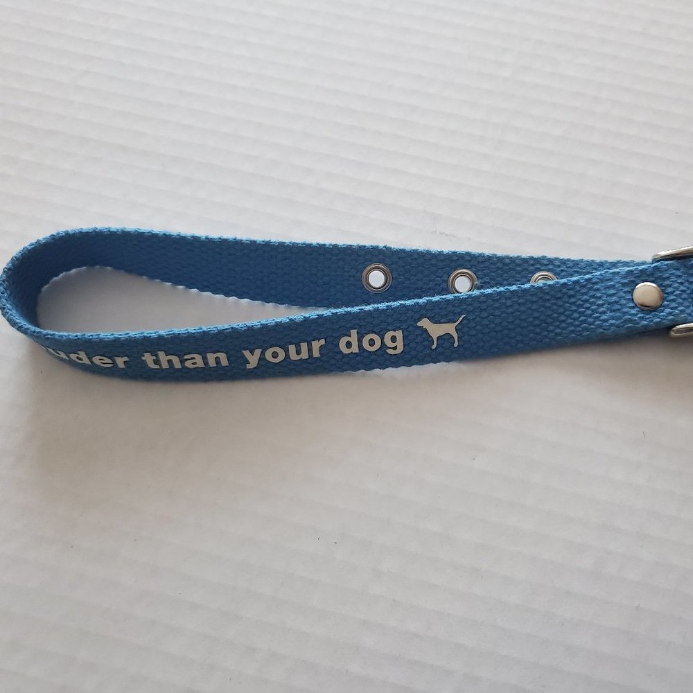 HTF Victoria Secret Pink RARE Dog Collar Vintage 2000's Aqua Blue Sooo Pretty - Picture 9 of 10